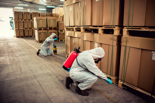 Best Ant Control Services  in Belfast, ME