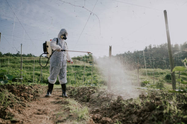 Best Pest Control for Homes  in Belfast, ME
