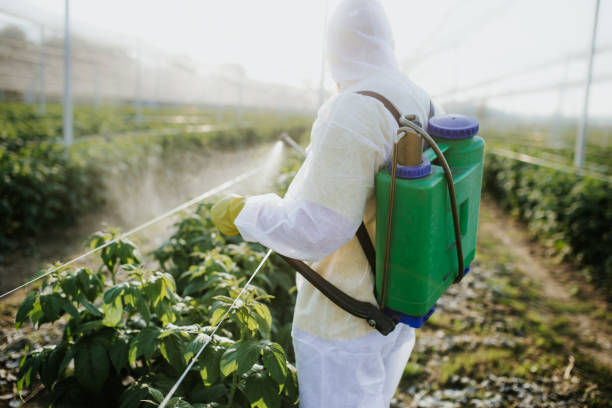 Pest Control for Restaurants in Belfast, ME